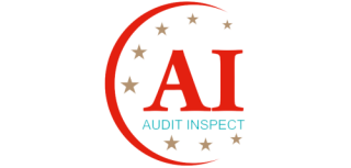 AUDIT INSPECT